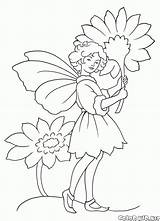 Colorare Coloring Disegni Fairy Fata Fairies Hadas Fada Malvorlagen Hada Elves Colorkid Fee Elfi Blumen Bambini Elfen Feen Duendes Prato sketch template