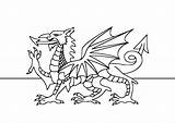 Urdd Cymru sketch template