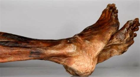 Ancient Tattoos Of Ötzi And El Morro Man Historic Mysteries