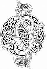 Celtic Knots Celtique Keltische Feivelyn Dragons Knot Culture Noeud Norse Celtici Simboli Coloringideas sketch template