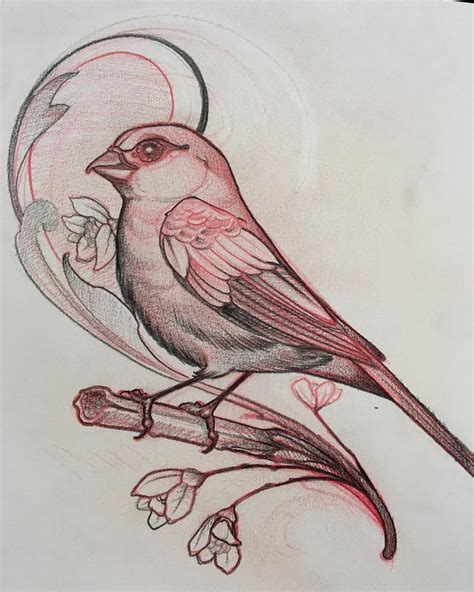 birds   bird drawings tattoo flash art bird art