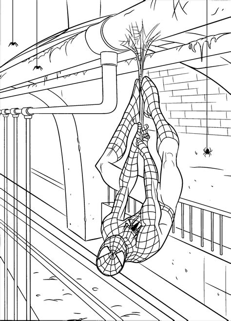printable spiderman coloring pages  kids