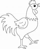 Rooster Coloring Pages Kids Drawing Printable Animals Booster Egg Energy Fighting Adults Roosters Funny Drawings Color Print Chicken Cock Hen sketch template