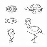 Vector Animals Coloring Book Clipart Edit sketch template