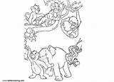 Jungle Animals Coloring Pages Printable Adults Kids sketch template