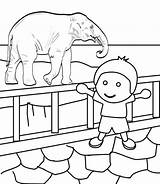 Coloring Zoo Pages Kids Print Printable Elephant Preschoolers sketch template