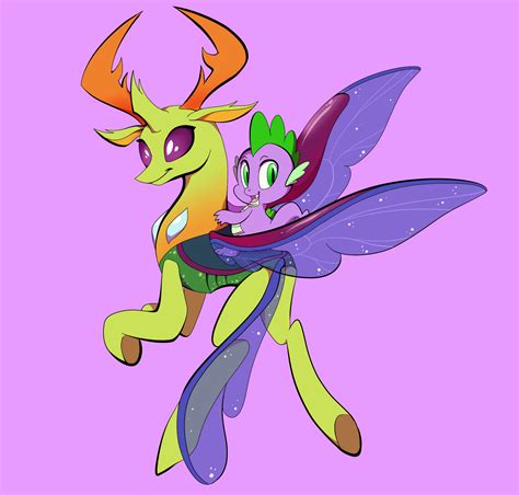 Mlp Thorax