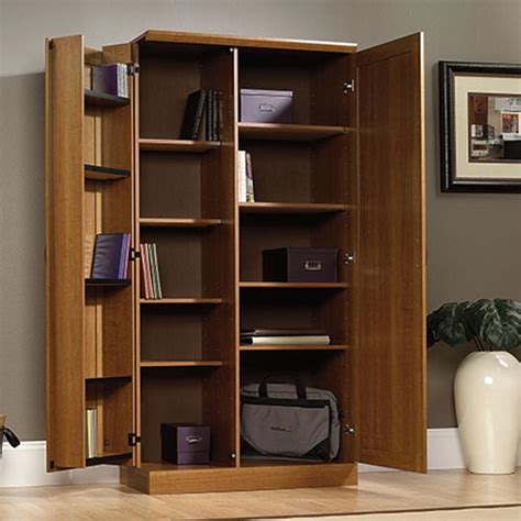 storage cabinets  doors  shelves home furniture design