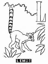 Lemur Coloring Pages Animals Printable Print sketch template