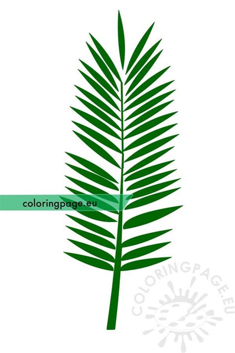 palm branch coloring page