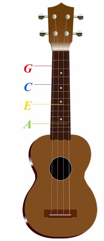 tune  ukulele  step  step guide  beginners
