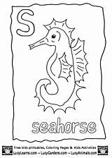 Seahorse Seepferdchen Ausmalbild Mister Coloringhome Letzte sketch template