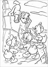 Coloring Huey Pages Louie Da Donald Dewey Duck Disney Colorare Disegni Qua Quo Qui Climbing Printable Mickey Di Dog Guarda sketch template