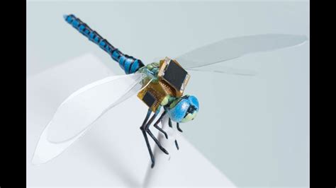 scientists turned  dragonfly   drone youtube