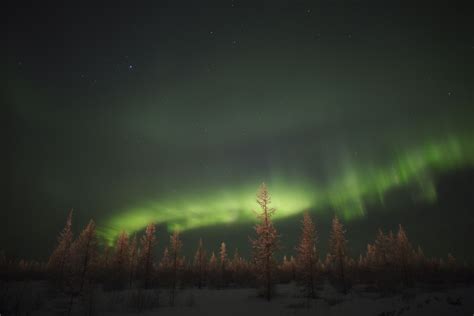 the magic of the russian north polar lights near novy urengoy · russia travel blog
