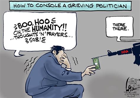 gun control and gun rights cartoons us news opinion