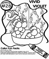 Violet Vivid Coloring Crayola sketch template
