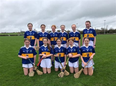 tipperary camogie primary games