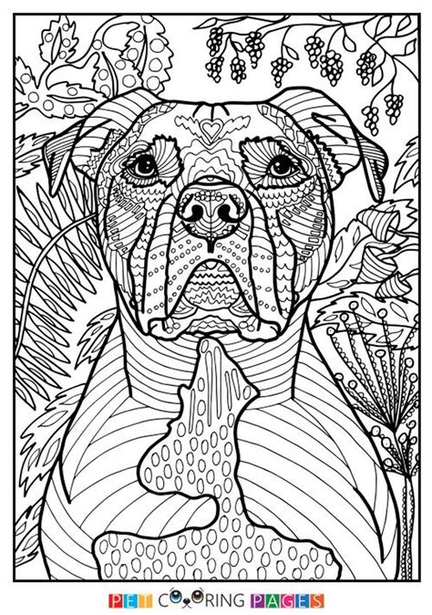 summer coloring pages  print   adults