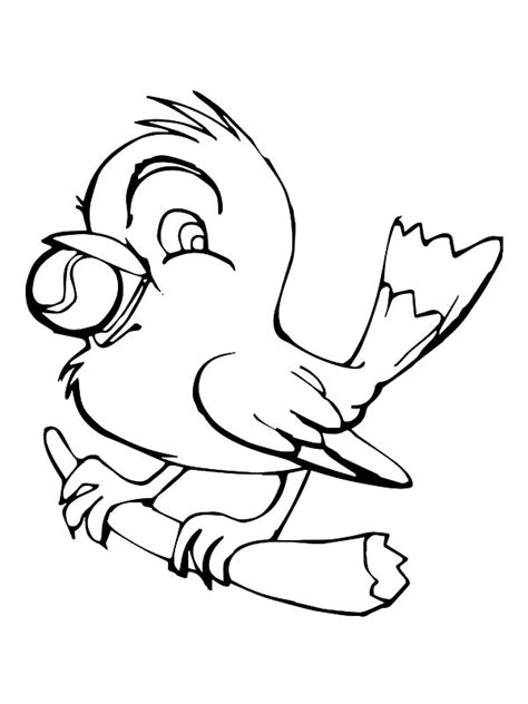 pin  canary bird coloring pages