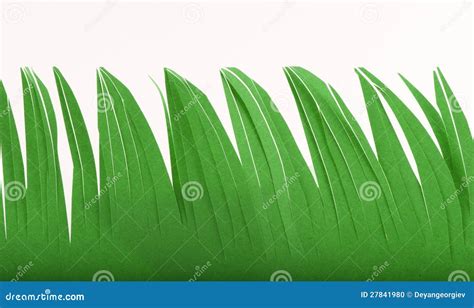 grass   paper stock photo image  card label