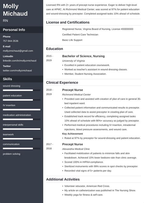 professional registered nurse cv design rn   nurse resume