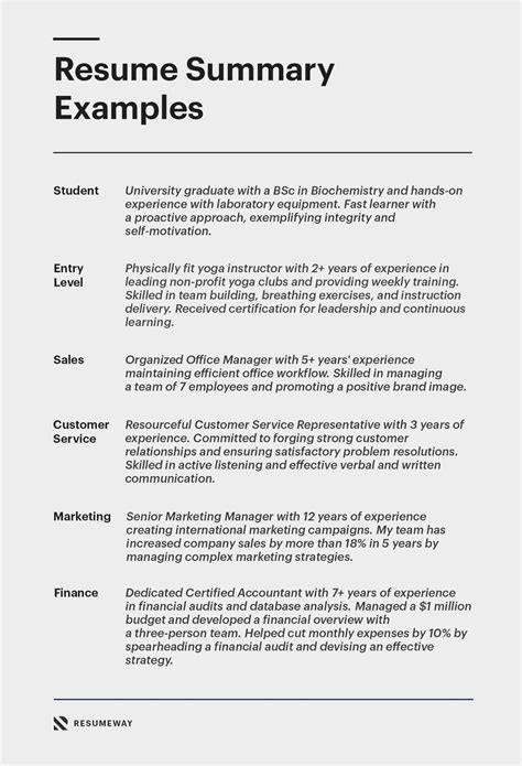 professional resume summary examples     guide resume