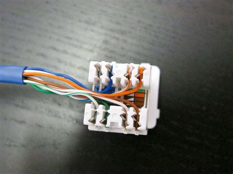nbn wall socket wiring diagram aricamillicent
