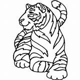 Tiger Coloring Amur Tigers Tigre Colorear Momjunction Designlooter Getdrawings Clipartbest Hermoso Dibujosonline Clipartmag Getcolorings Voorbeeldsjabloon Recent sketch template