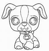 Coloring Pages Pet Littlest Shop Dog Lps Printable Collie Dachshund Cat Color Print Pets Coloriage Getcolorings Bunny Getdrawings Colorings Beagle sketch template