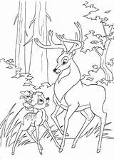 Bambi Pianetabambini Scrivi sketch template