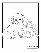 Coloring Christmas Pages Puppies Puppy Popular Coloringhome sketch template