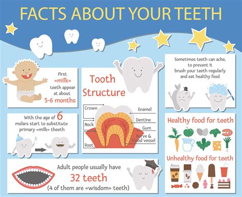 fun dental care infographics  kids smile angels  beverly hills