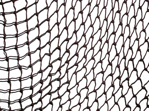 cast net  fishing net