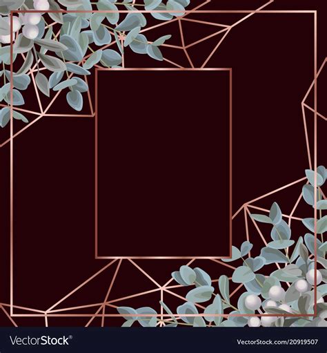 template  eucalyptus royalty  vector image