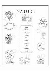 Nature Worksheets Printable Worksheet Kindergarten Vocabulary Worksheeto Via Spring sketch template