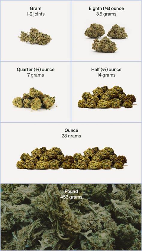 weed measurements guide quantities weights prices
