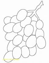 Grapes Coloring Bunch Pages Grape Kids Printable Drawing Color Vine Outline Vineyard Printables Clipart Bestcoloringpages Getcolorings Sheets Preschool Crafts Clip sketch template