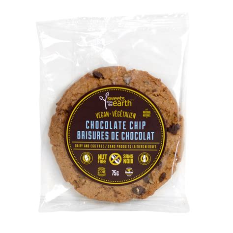 chocolate chip cookie sweets   earth