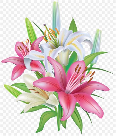 Lilium Stargazer Flower Clip Art Png 3408x4000px