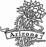 State Coloring Arizona Flower Pages Flowers Kids sketch template