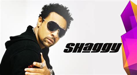 reichhold center   arts international reggae star shaggy