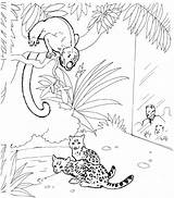 Howler Maimuta Monkeys Colorat Designlooter Wizard Planse sketch template