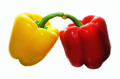fresh sweet pepper  stock photo public domain pictures