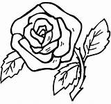 Rose Coloring Pages Color Library Clipart sketch template