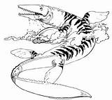 Sea Dinosaur Tylosaurus Pages Monster Coloring Jurassic Mosasaur Coloringpagesonly sketch template