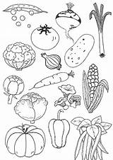 Coloring Pages Adult Colouring Vegetables Food Vegetable Sheets sketch template