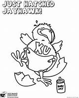 Coloring Jayhawk Jayhawks Pages Sheets Ku Kansas Rock Chalk Getdrawings sketch template