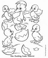 Ugly Duckling Coloring Hatch sketch template