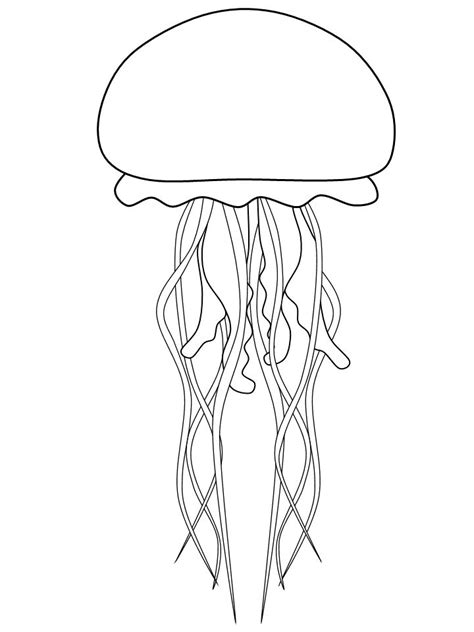 template jellyfish art coloring pages outline drawings